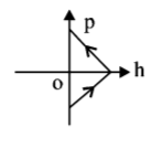 Kinematics mcq option image